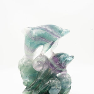 Dauphin en Fluorine